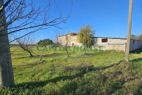 Landejendom i Pignataro Maggiore, Caserta, Pignataro Maggiore - € 78.000 | Ref: 94000pignataro - foto 1