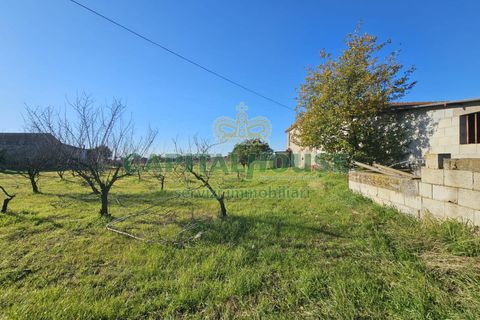Landejendom i Pignataro Maggiore, Caserta, Pignataro Maggiore - € 78.000 | Ref: 94000pignataro - foto 2