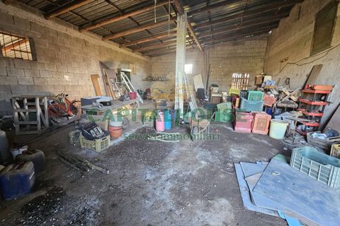 Landejendom i Pignataro Maggiore, Caserta, Pignataro Maggiore - € 78.000 | Ref: 94000pignataro - foto 13