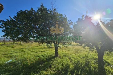 Landejendom i Pignataro Maggiore, Caserta, Pignataro Maggiore - € 78.000 | Ref: 94000pignataro - foto 16