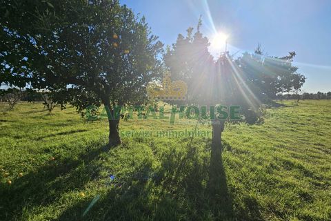 Landejendom i Pignataro Maggiore, Caserta, Pignataro Maggiore - € 78.000 | Ref: 94000pignataro - foto 20
