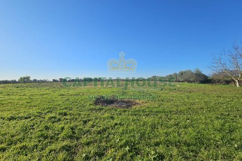 Landejendom i Pignataro Maggiore, Caserta, Pignataro Maggiore - € 78.000 | Ref: 94000pignataro - foto 4