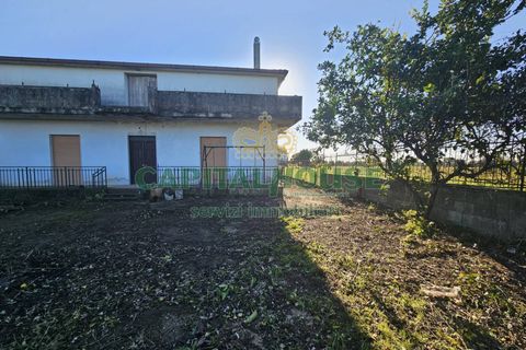 Landejendom i Pignataro Maggiore, Caserta, Pignataro Maggiore - € 78.000 | Ref: 94000pignataro - foto 3