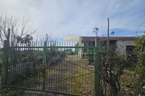 Villa a Pignataro Maggiore, Caserta, Pignataro Maggiore - € 78.000 | Ref: 78000indipendente - foto 3