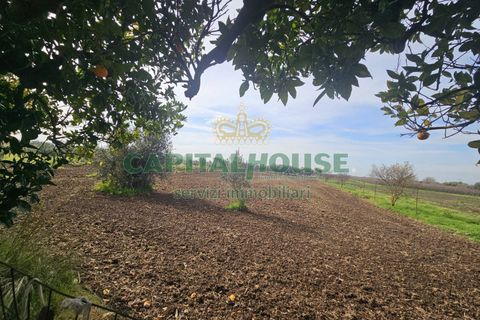 Villa a Pignataro Maggiore, Caserta, Pignataro Maggiore - € 78.000 | Ref: 78000indipendente - foto 2