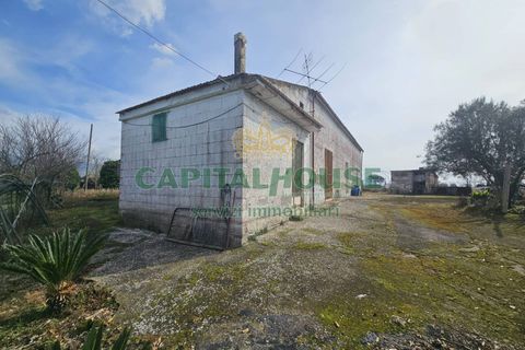Villa a Pignataro Maggiore, Caserta, Pignataro Maggiore - € 78.000 | Ref: 78000indipendente - foto 4