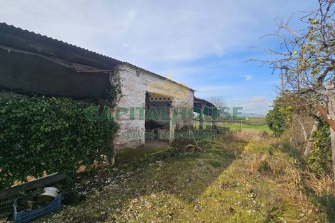 Villa a Pignataro Maggiore, Caserta, Pignataro Maggiore - € 78.000 | Ref: 78000indipendente - foto 10