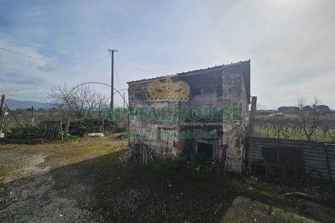 Villa a Pignataro Maggiore, Caserta, Pignataro Maggiore - € 78.000 | Ref: 78000indipendente - foto 7