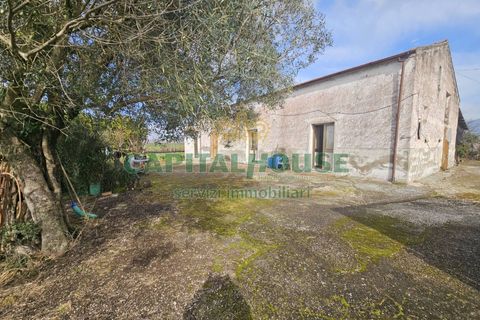 Villa a Pignataro Maggiore, Caserta, Pignataro Maggiore - € 78.000 | Ref: 78000indipendente - foto 5