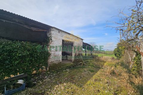 Villa a Pignataro Maggiore, Caserta, Pignataro Maggiore - € 78.000 | Ref: 78000indipendente - foto 19