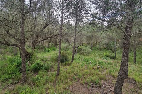 Finca i Asco, Tarragona, Asco - € 12 000 | Ref: Asc - foto 9