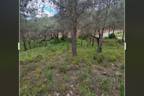 Finca i Asco, Tarragona, Asco - € 12 000 | Ref: Asc - foto 11