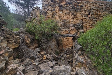 Finca i Asco, Tarragona, Asco - € 12 000 | Ref: Asc - foto 6