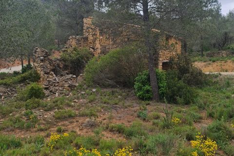 Finca i Asco, Tarragona, Asco - € 12 000 | Ref: Asc - foto 12