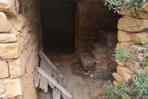 Finca i Asco, Tarragona, Asco - € 12 000 | Ref: Asc - foto 10