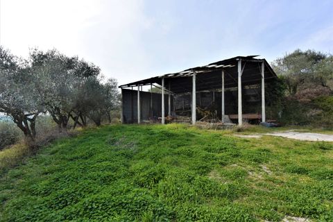 Masia a Fermo, Fermo, Fermo - € 247.000 | Ref: V751 - foto 8