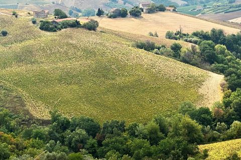 Terra a Carassai, Ascoli Piceno, Carassai - € 80.000 | Ref: V891 - foto 2