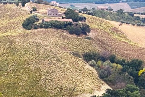Terra a Carassai, Ascoli Piceno, Carassai - € 80.000 | Ref: V891 - foto 3