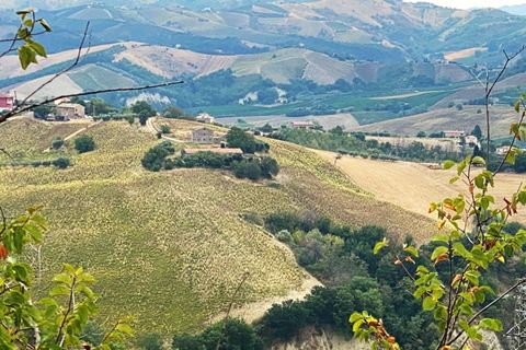 Terra a Carassai, Ascoli Piceno, Carassai - € 80.000 | Ref: V891 - foto 4