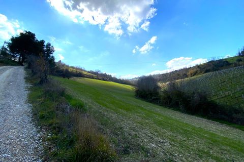 Villa i Montefiore dell'Aso, Ascoli Piceno, Montefiore dell'Aso - € 170.000 | Ref: V941 - foto 3