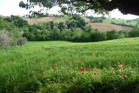 Villa i Montefiore dell'Aso, Ascoli Piceno, Montefiore dell'Aso - € 170.000 | Ref: V941 - foto 4