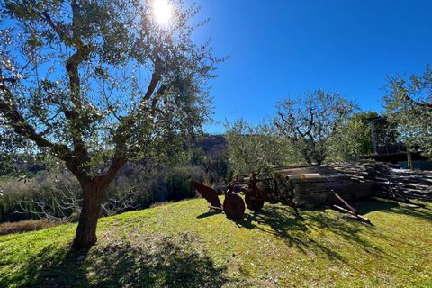 Villa i Montefiore dell'Aso, Ascoli Piceno, Montefiore dell'Aso - € 195.000 | Ref: VV34 - foto 11