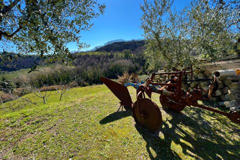 Villa i Montefiore dell'Aso, Ascoli Piceno, Montefiore dell'Aso - € 195.000 | Ref: VV34 - foto 12