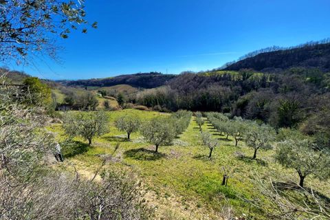Villa i Montefiore dell'Aso, Ascoli Piceno, Montefiore dell'Aso - € 195.000 | Ref: VV34 - foto 19