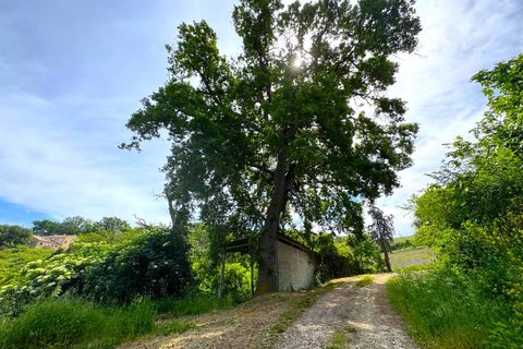 Villa i Fermo, Fermo, Fermo - € 450.000 | Ref: VV494 - foto 9