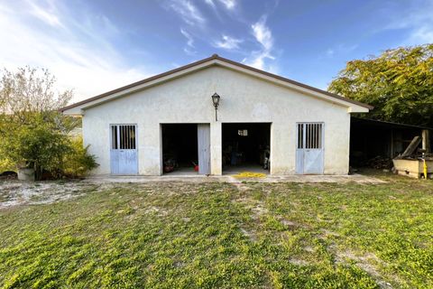 Landejendom i Fermo, Fermo, Fermo - € 230.000 | Ref: VV91 - foto 8