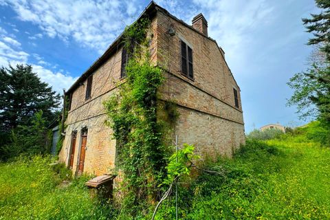 Masia a Fermo, Fermo, Fermo - € 150.000 | Ref: VV187 - foto 2