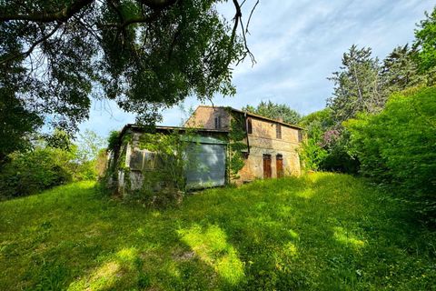 Masia a Fermo, Fermo, Fermo - € 150.000 | Ref: VV187 - foto 5