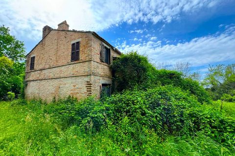 Masia a Fermo, Fermo, Fermo - € 150.000 | Ref: VV187 - foto 7