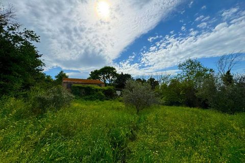 Masia a Fermo, Fermo, Fermo - € 150.000 | Ref: VV187 - foto 8