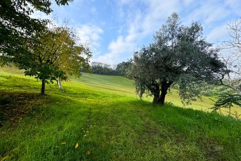 Landejendom i Montottone, Fermo, Montottone - € 300.000 | Ref: VV285 - foto 21