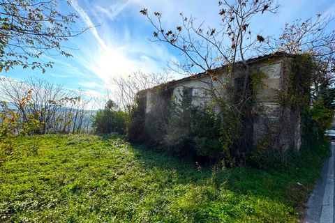 Landejendom i Montegranaro, Fermo, Montegranaro - € 150.000 | Ref: VV289 - foto 3