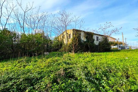 Landejendom i Montegranaro, Fermo, Montegranaro - € 150.000 | Ref: VV289 - foto 5