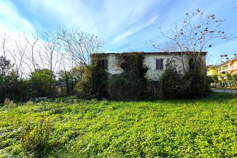 Landejendom i Montegranaro, Fermo, Montegranaro - € 150.000 | Ref: VV289 - foto 6
