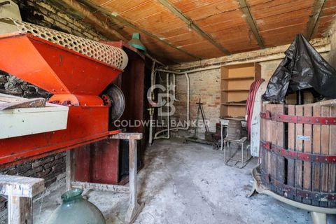 Landejendom i Rocchetta Tanaro, Asti, Rocchetta Tanaro - € 70.000 | Ref: CBI116-1582-57 - foto 22