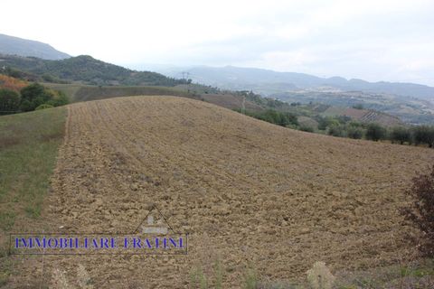 Terra a Tossicia, Teramo, Tossicia - € 49.000 | Ref: EG0847 - foto 5