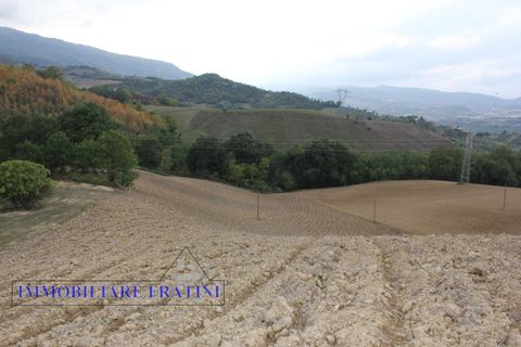 Terra a Tossicia, Teramo, Tossicia - € 49.000 | Ref: EG0847 - foto 6