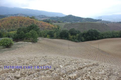 Terra a Tossicia, Teramo, Tossicia - € 49.000 | Ref: EG0847 - foto 7
