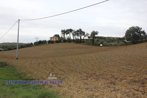 Terra a Tossicia, Teramo, Tossicia - € 49.000 | Ref: EG0847 - foto 12