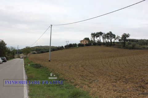 Terra a Tossicia, Teramo, Tossicia - € 49.000 | Ref: EG0847 - foto 13