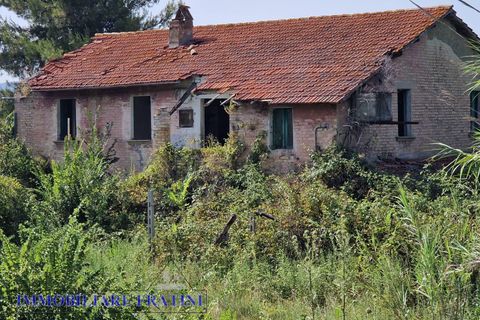 Landejendom i Controguerra, Teramo, Controguerra - € 149.000 | Ref: RD0062 - foto 3