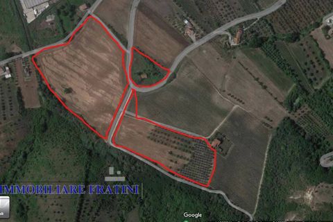 Landejendom i Controguerra, Teramo, Controguerra - € 149.000 | Ref: RD0062 - foto 11