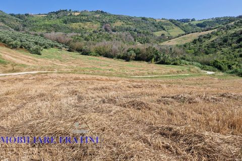 Landejendom i Controguerra, Teramo, Controguerra - € 149.000 | Ref: RD0062 - foto 15
