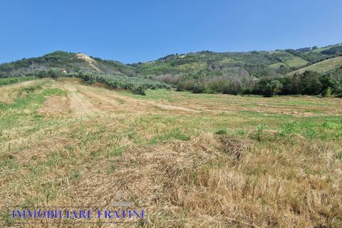 Landejendom i Controguerra, Teramo, Controguerra - € 149.000 | Ref: RD0062 - foto 16