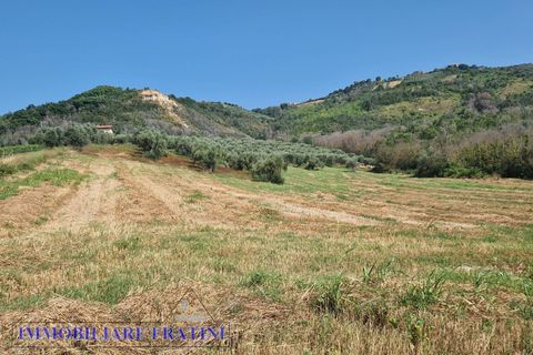 Landejendom i Controguerra, Teramo, Controguerra - € 149.000 | Ref: RD0062 - foto 18