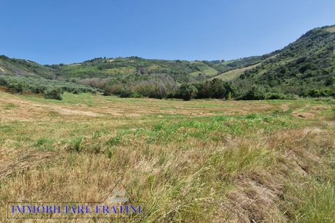 Landejendom i Controguerra, Teramo, Controguerra - € 149.000 | Ref: RD0062 - foto 19